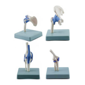 Conjunto de Mini Juntas Funcionais 4 Modelos