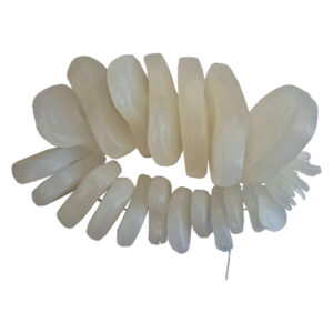 Discos Intervertebrais em Nylon 23 peças CL71