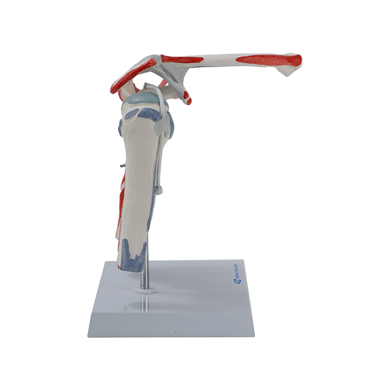 modelo JF201